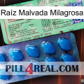 Raíz Malvada Milagrosa new02